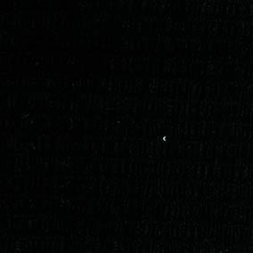 楊柳縐