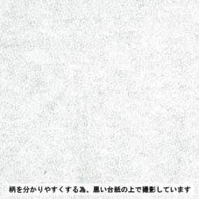 26/-BD TOP精梳棉天竺針織