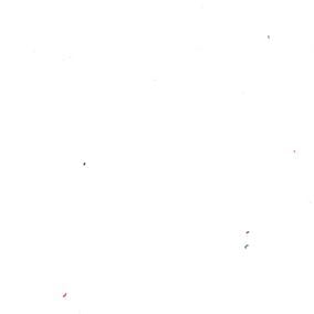 20/1彈力羅紋針織
