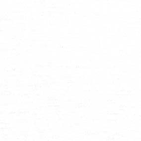 60支Supima棉輕薄平針布