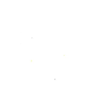 26/1 BD TOP羅紋針織