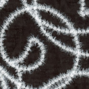 80支細棉布羽毛絨線刺繡蕾絲