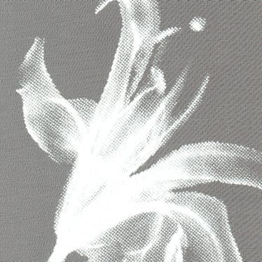 奶油感歐根紗漸層植絨