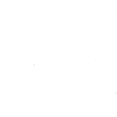 TA/P絨面布寬幅