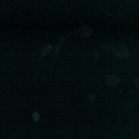 全消光尼龍強撚高密度經編針織