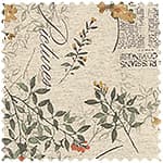 CALM 平織細布