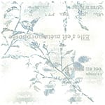 deargrace 精梳平織布