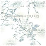 deargrace 精梳平織布