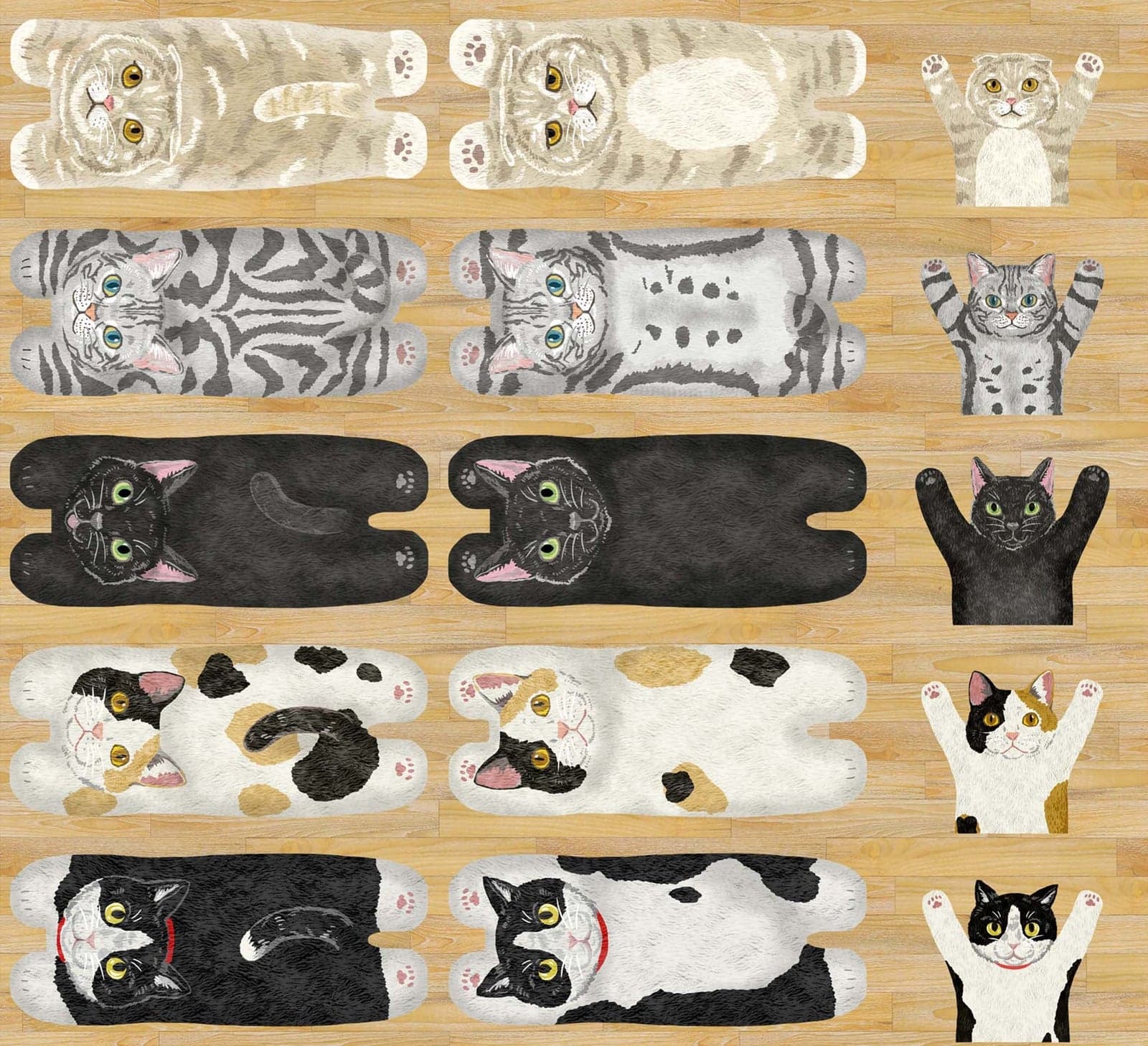 HOME DECO 動物定位布(黑貓/虎斑貓草地)