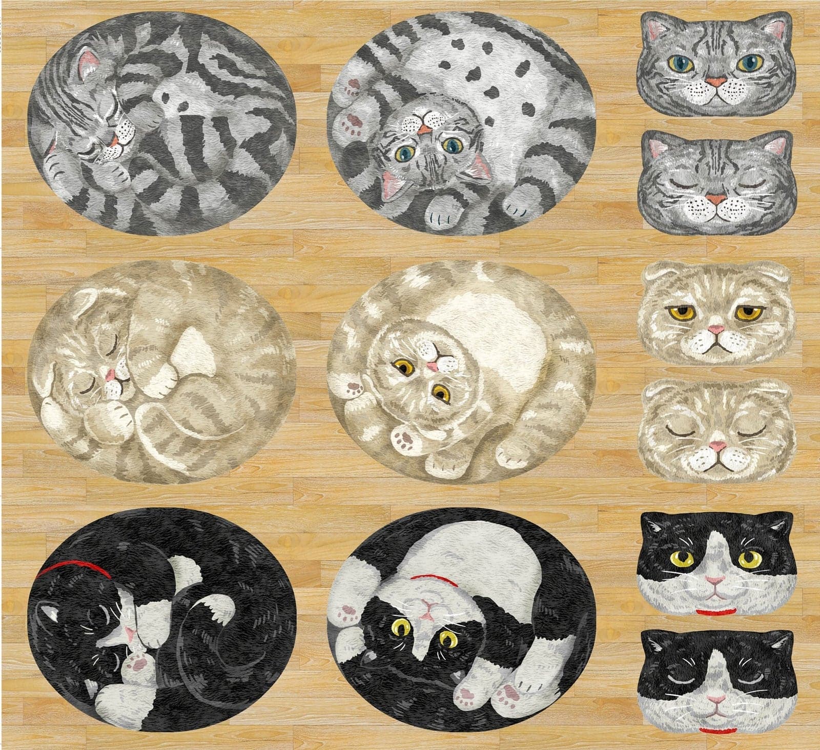 HOME DECO 動物定位布(貓咪盆栽/虎斑貓毛球)