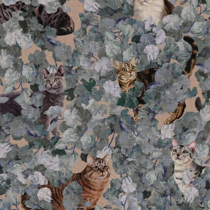 A Cat's Walk 平織細布