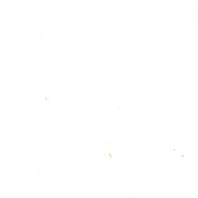 ECOPET® 聚酯纖維/棉交織丹寧