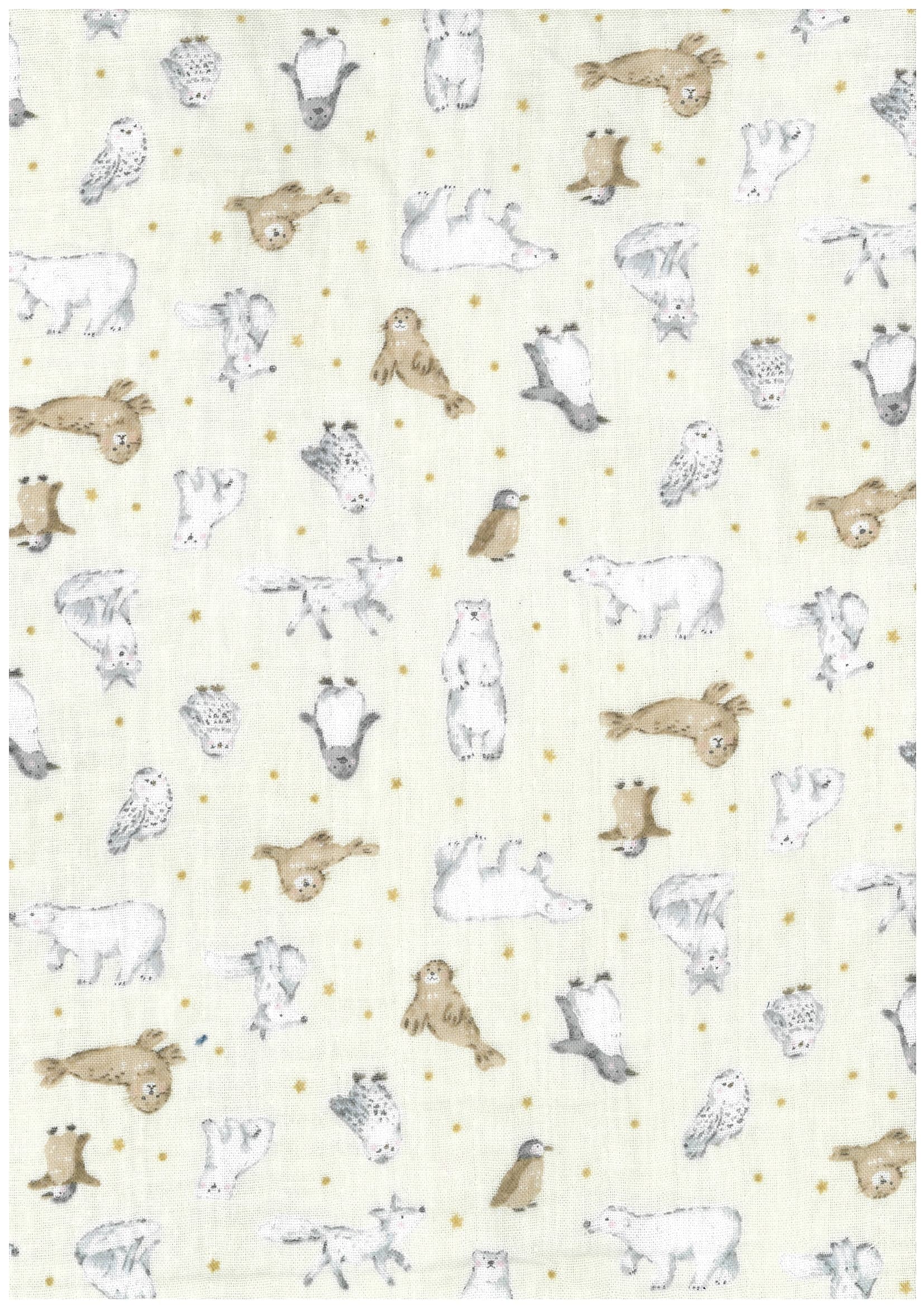 Animal world