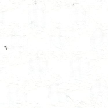 流蘇緹花布