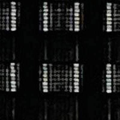 有機棉紗羅格紋布