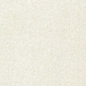 聚酯纖維/嫘縈厚毛料刷毛布